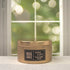 Black Amber & Plum - Wickless Candle