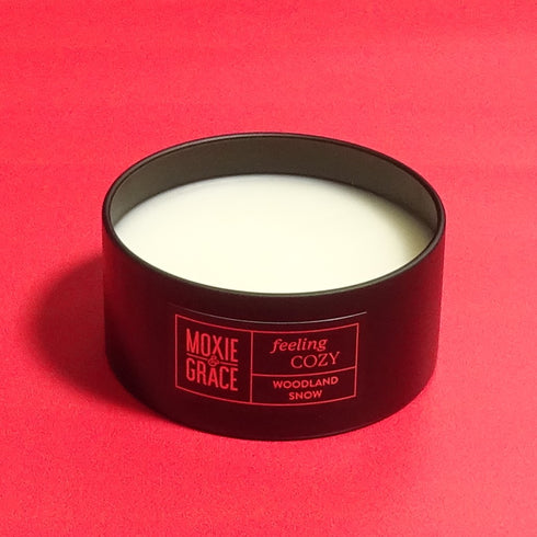 Woodland Snow - Wickless Candle
